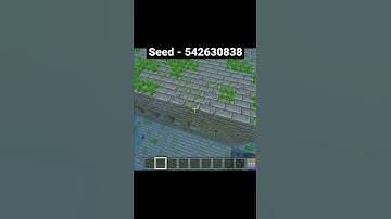 Thumbnail of MINECRAFT RARE SEED!