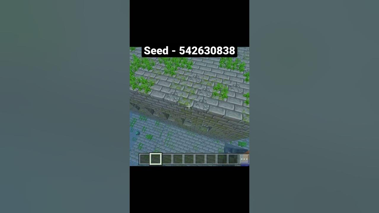 MINECRAFT RARE SEED! MINECRAFT RARE SEED!