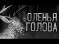 ОЛЕНЬЯ ГОЛОВА.Страшные истории на ночь. Страшилки на ночь.