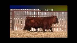 Lot 10 -Howe 2019.m4v