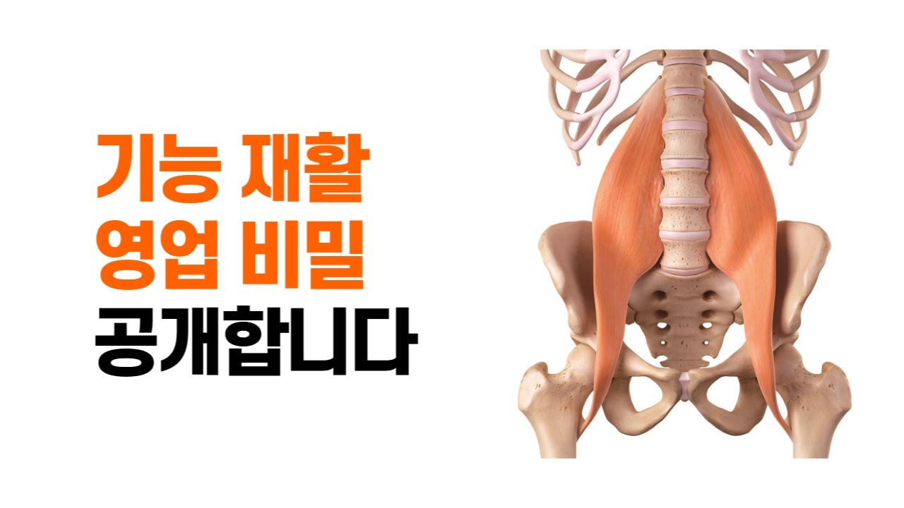 [장요근 마사지] 여기만 잘 풀어도 통증의 70%는 없어집니다