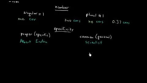 An Overview of the Noun