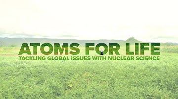 ATOMS FOR LIFE: tackling global challenges with nuclear science