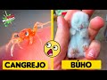 Así Se Ven Estos Animales Recién Nacidos 😍 | PARTE 2 con Luan Palomera