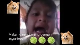 Video thumbnail of "Makan Daging Anjing Dengan Sayur Kol😂Full Video!"