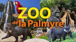 Zoo de la Palmyre | Zoo-Eindruck