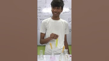 Use Your Nose To Tell If A Substance Is An Acid Or Base With Olfactory Indicators! #shorts #science