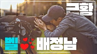 벨이 다시 일어나길 .. 연예인의 반려동물 ep10. 배정남 님 편