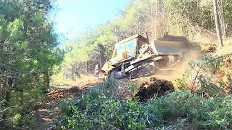 Raízes de árvores e fragmentos de rochas presos sob escavadeira! | Expansão Florestal