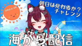 こまといぬの配信のサムネイル画像