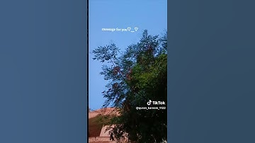 واصبر وما صبرك الا بالله#قناه نور القرآن الكريم #صلو على النبي#راحه ـ نفسيه