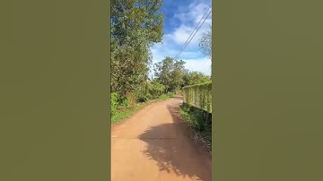 Bán nhà vườn cây ăn trái đẹp tuyệt vời ở bà rịa vũng tàu để dọn đi nơi khác ở#shorts