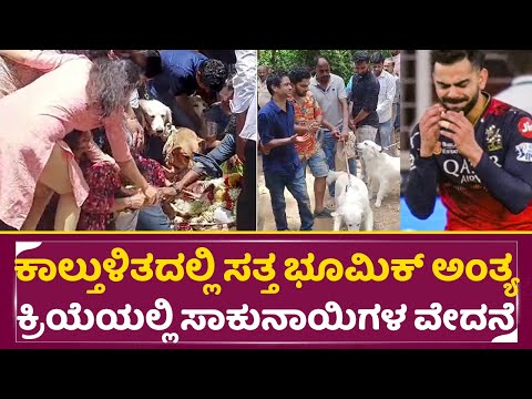 ಕಾಲ್ತುಳಿತದಲ್ಲಿ ಸತ್ತ ಭೂಮಿಕ್ ಅಂತ್ಯಕ್ರಿಯೆಯಲ್ಲಿ ಸಾಕುನಾಯಿಗಳ ವೇದನೆ| RCB Champions parade incident | SStv ಕಾಲ್ತುಳಿತದಲ್ಲಿ ಸತ್ತ ಭೂಮಿಕ್ ಅಂತ್ಯಕ್ರಿಯೆಯಲ್ಲಿ ಸಾಕುನಾಯಿಗಳ ವೇದನೆ| RCB Champions parade incident | SStv