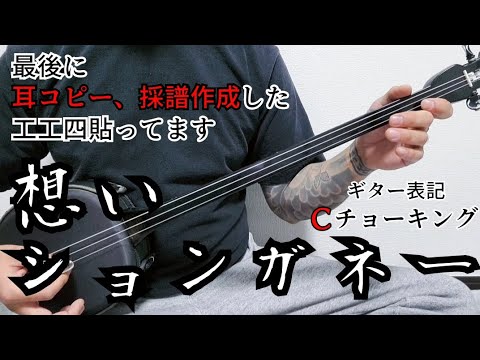 入手困難※shoNganee 想いションガネー レコード 邦楽