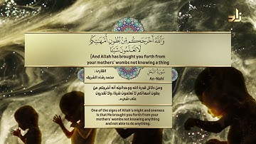 واللَّهُ أَخْرَجَكُمْ مِنْ بُطُونِ أُمَّهَاتِكُمْ لَا تَعْلَمُونَ شَيْئًا || القارئ محمد رشاد الشريف