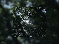 Clams Casino I M God Slowed Reverb Clams Casino I M God Slowed Reverb