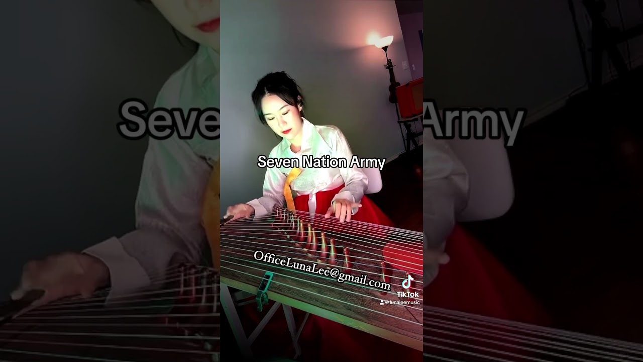 The White Stripes-Seven Nation Army Gayageum ver. by Luna Lee #culture