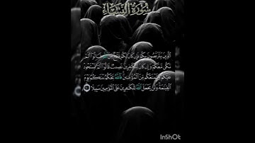 سوره النساء عدد آياتها ١٧٦ آيه ( سوره مدنيه ) الآيه ١٤١