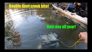 We found the motherload of creek crappie! Double limit! I always catch a limit in this creek!