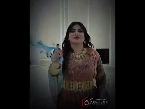 الفنان عزوز الشمري هيدا اصلوا من الرقة جديد 2025 