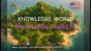 Knowledge Nuggets Tireless Ants