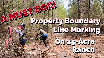 Marking Property Boundary Lines On 25 Acres 🤠🚜🌲 #diy #survey #UTV #trails #boundary #ranch #land