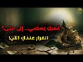 بودكاست النخلة إعلان البداية رحلة امرأة هل أنت مستعد ة للنهوض من جديد 