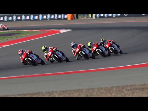 LIVE 🔴 RACE
