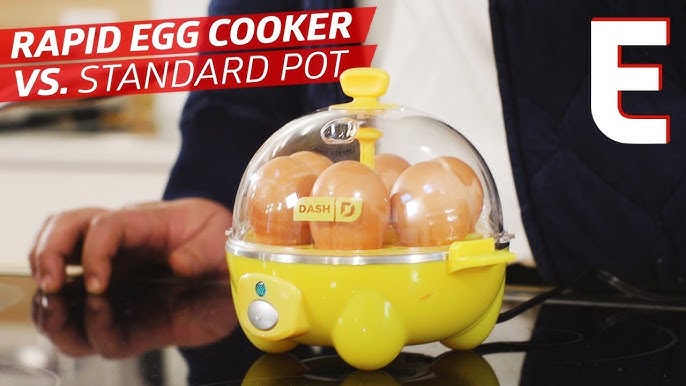 Dash rapid egg cooker review: Is it worth your money? - Reviewed