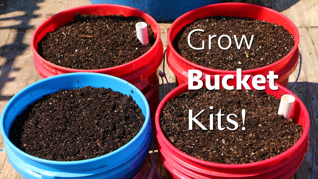 How To Start A Garden In A 5 Gallon Bucket Youtube