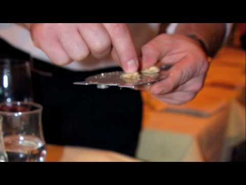 Truffle Hunting in Paris