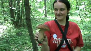 Cбор белых грибов. / cooking mill at home... Cбор белых грибов. / cooking mill at home...