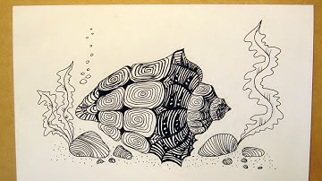 Draw a Beautiful Shell Easily - DIY Crafts - Guidecentral