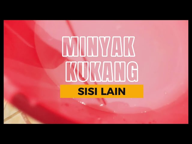 MINYAK KUKANG | JENIS MINYAK KALIMANTAN ❓ class=