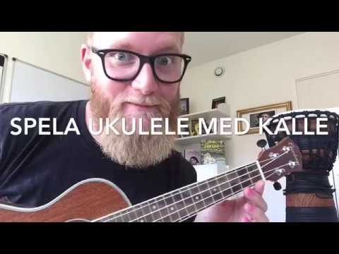 Video: Hur Man är En Ukulele Rockstjärna På Några Timmar - Matador Network