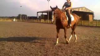 VID 00005-20100625-1837