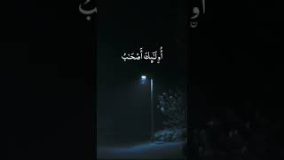 حالات واتس قران كريم | محمد صديق المنشاوي