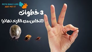 علاج القراد في الكلاب في 3 خطوات