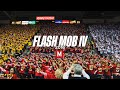 Maryland Students Flash Mob IV (2016)