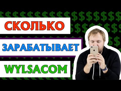 КАК И СКОЛЬКО ЗАРАБАТЫВАЕТ WYLSACOM. ЗАРАБОТОК НА ЮТУБЕ ВИЛСАКОМА