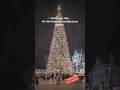 🎄 Christmas tree on the Praça do Comércio in Lisbon #christmas #newyear #timelapse #portugal #lisboa