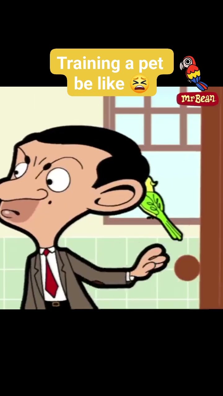 Mr Bean the parrot trainer! ?? | Mr Bean #shorts