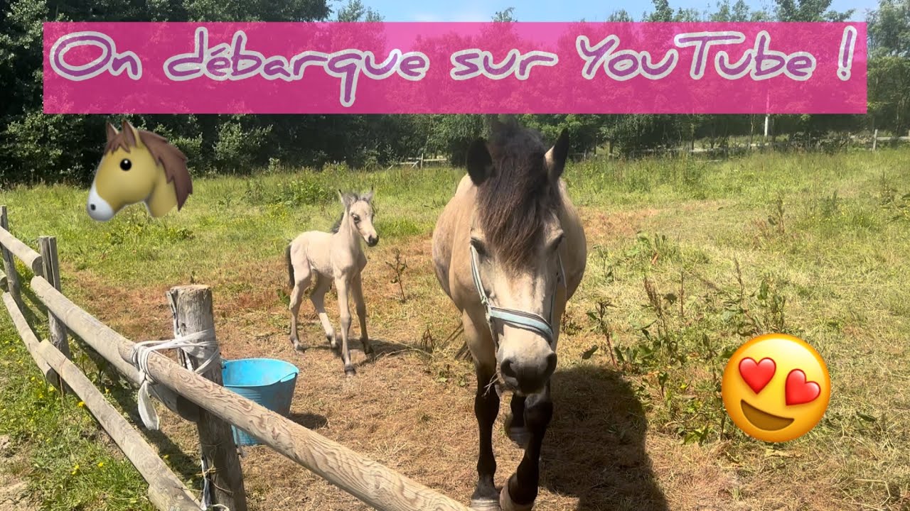 Notre nouvelle vie en bus 🚌 venez à notre rencontre 😊