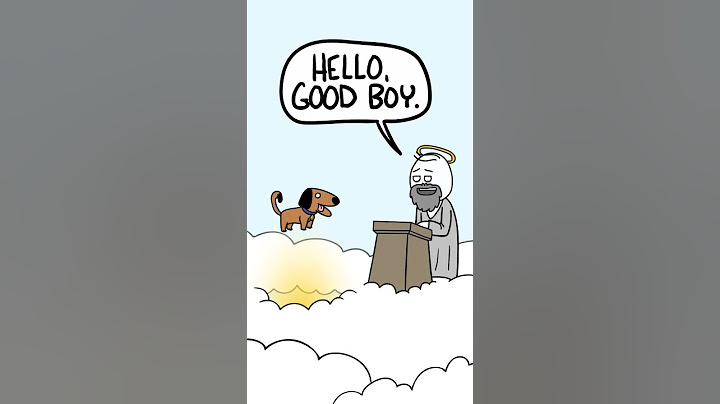 Dogs go to Heaven