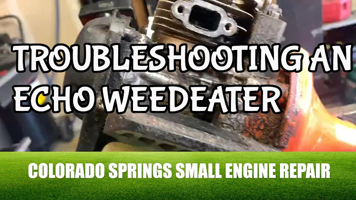 Echo Weed Eater Won't Start Small Engine Repair
