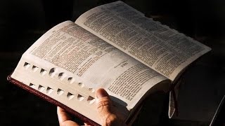 Mateus 13.24-43 Novo Testamento!