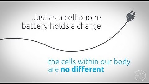 What You Need to Know Before PEMF