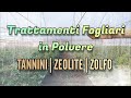 Trattamenti Biologici Fogliari in Polvere per tutte le Coltivazioni