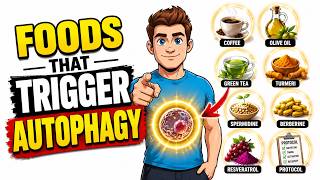 7 Foods That Secretly Trigger Autophagy Without Any Fasting (Science Explained)