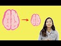 4 Benda yang Buat Otak Anda Jadi Dungu